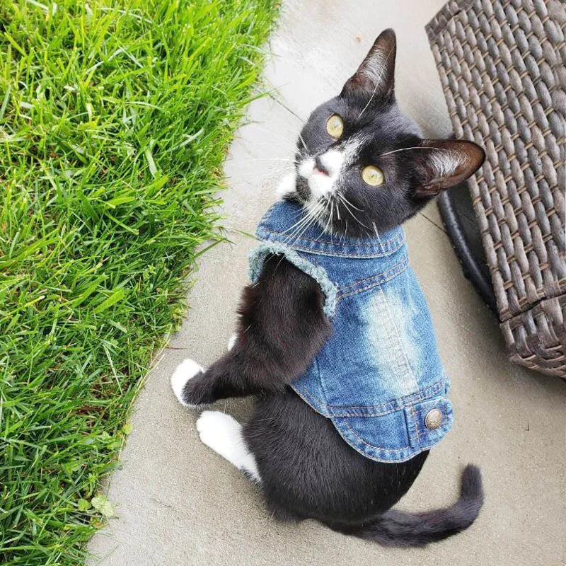 Cat Denim Vest - Casual Jeans Jacket for Small & Medium Cats