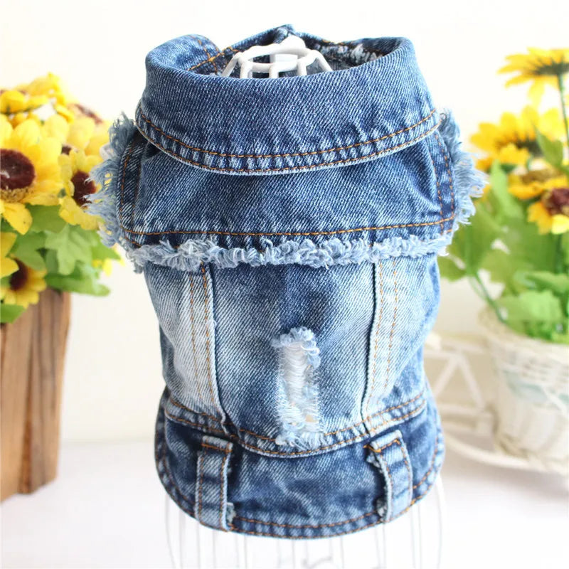 Cat Denim Vest - Casual Jeans Jacket for Small & Medium Cats