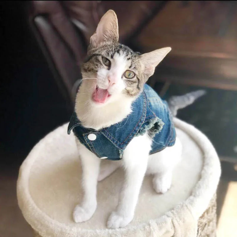 Cat Denim Vest - Casual Jeans Jacket for Small & Medium Cats