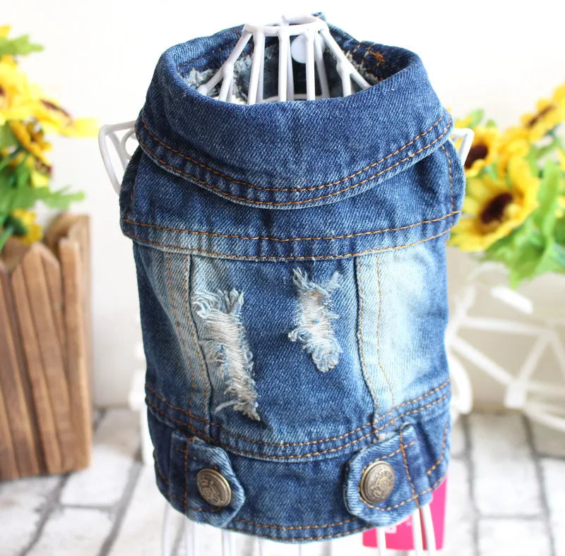 Cat Denim Vest - Casual Jeans Jacket for Small & Medium Cats