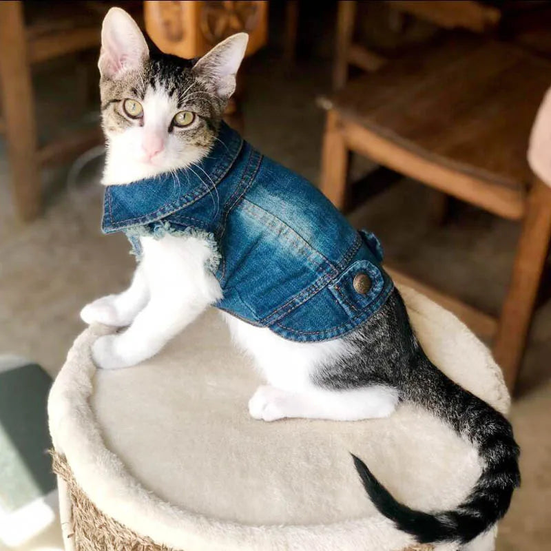 Cat Denim Vest - Casual Jeans Jacket for Small & Medium Cats