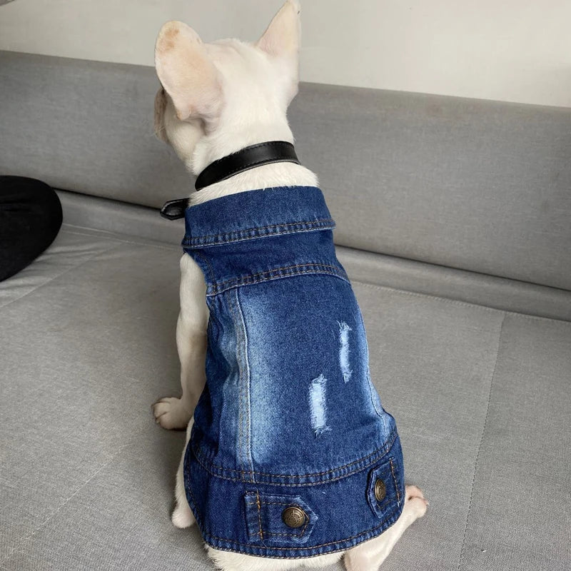 Cat Denim Vest - Casual Jeans Jacket for Small & Medium Cats