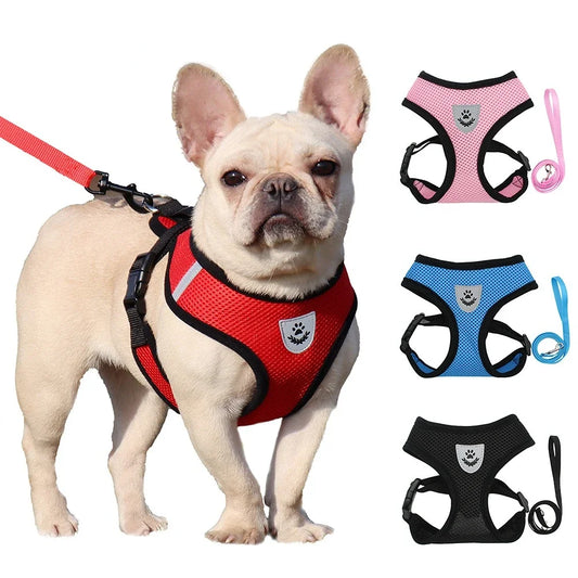 Breathable Summer Pet Harness - Reflective Vest with Leash for Cats & Small Dogs